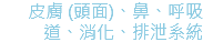 皮膚 (頭面)、鼻、呼吸道、消化、排泄系統