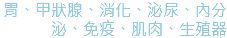 胃、甲狀腺、消化、泌尿、內分泌、免疫、肌肉、生殖器