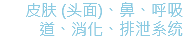 皮肤 (头面)、鼻、呼吸道、消化、排泄系统