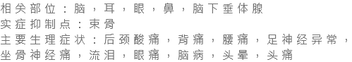 相关部位：脑，耳，眼，鼻，脑下垂体腺 实症抑制点：束骨 主要生理症状：后颈酸痛，背痛，腰痛，足神经异常，坐骨神经痛，流泪，眼痛，脑病，头晕，头痛