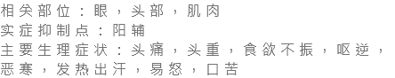 相关部位：眼，头部，肌肉 实症抑制点：阳辅 主要生理症状：头痛，头重，食欲不振，呕逆，恶寒，发热出汗，易怒，口苦