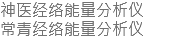 神医经络能量分析仪 常青经络能量分析仪